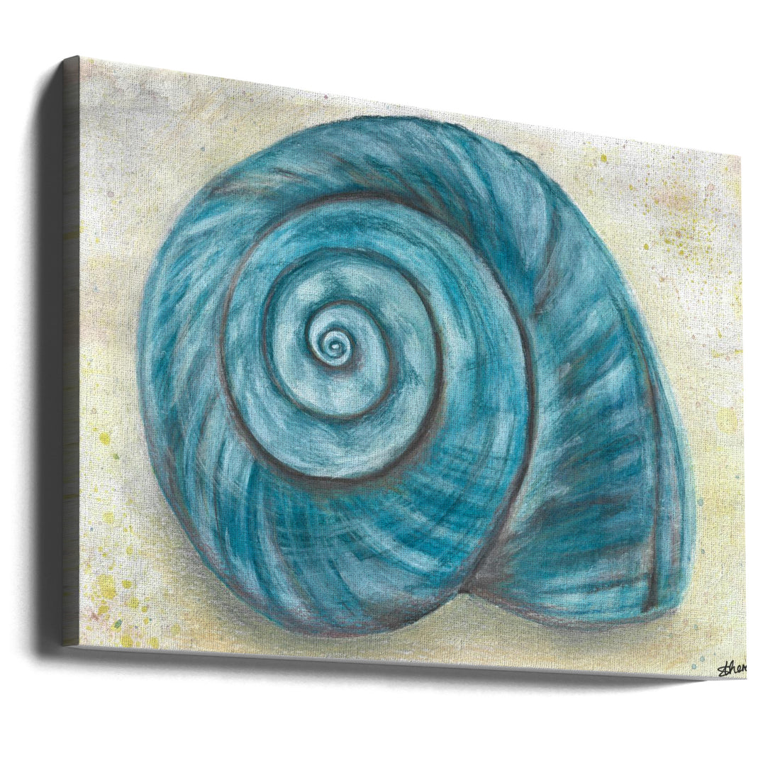 Coastal Shell Art by Sunet Theron | Abstract Seashell Illustration, Large Canvas Wall Art Print | Artsy Earth