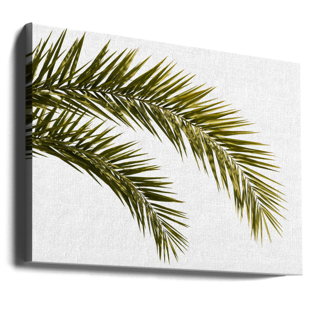 Coconut Tree Leaves by Amini54 | Palm Leaves Botanical, Large Canvas Wall Art Print | Artsy Earth