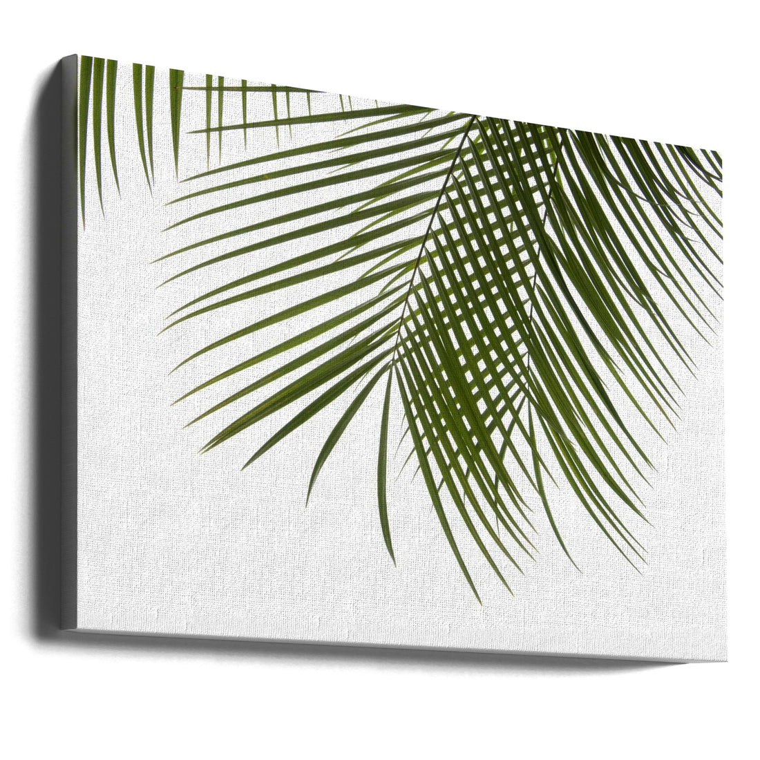 Palm Leaves Foliage Photo III by Amini54 | Tropical Botanical Plant, Large Canvas Wall Art Print | Artsy Earth