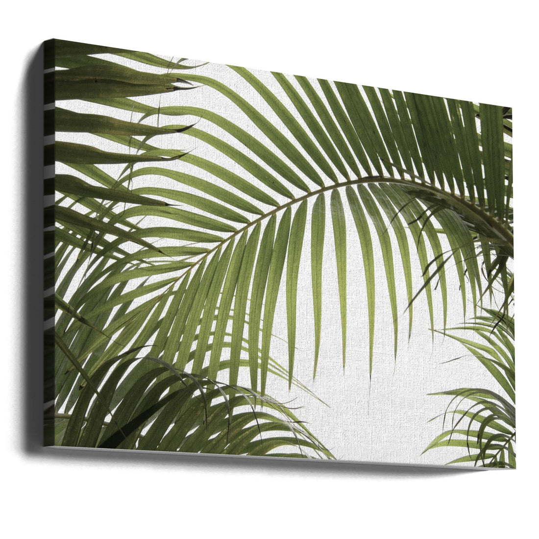 Palm Leaves Foliage by Amini54 | Botanical Plant Leaves, Large Canvas Wall Art Print | Artsy Earth