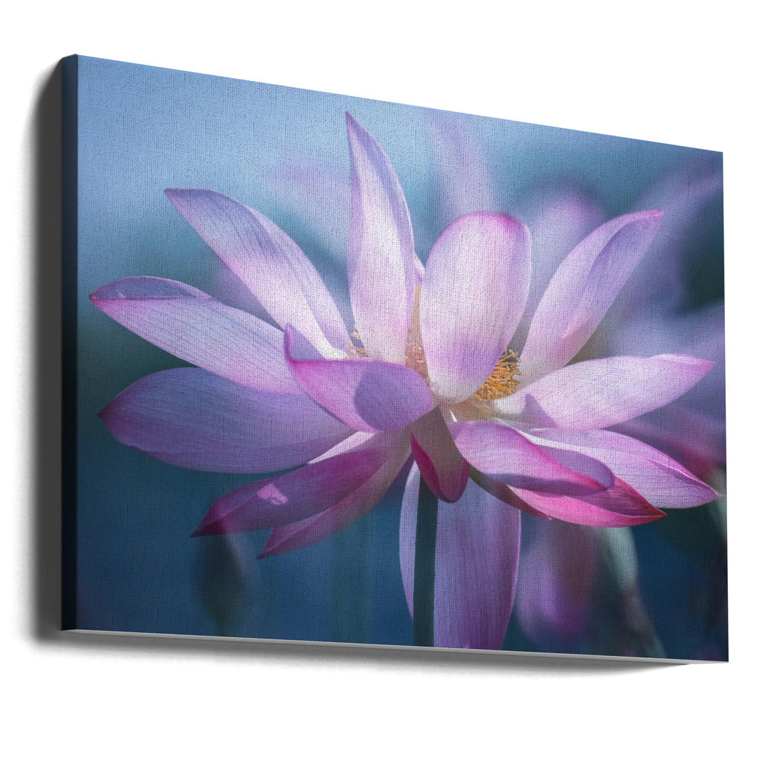 Lotus Flower by Yuanwei Zuo | Botanical Flora Bloom, Large Canvas Wall Art Print | Artsy Earth