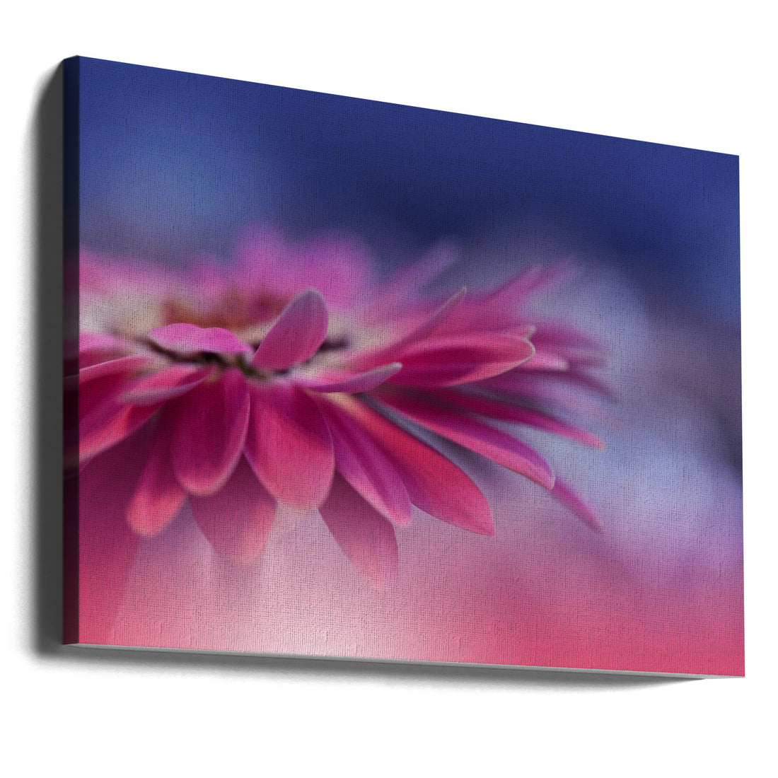 Pink Flora Bokeh by Juliana Nan | Floral Macro Droplets, Large Canvas Wall Art Print | Artsy Earth