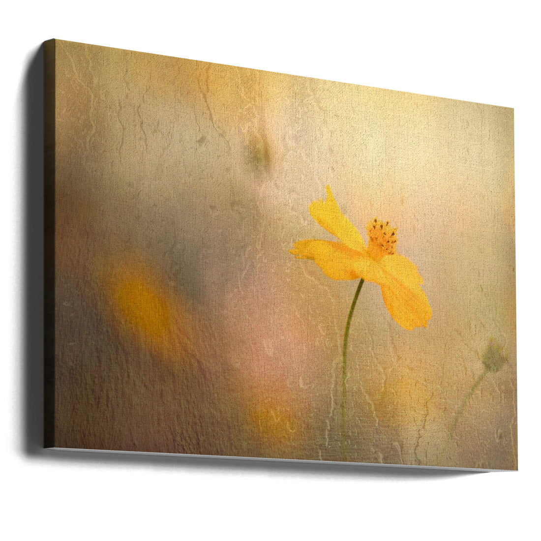 Cosmos in Rain by Youngil Kim | Floral Rainy Abstract, Large Canvas Wall Art Print | Artsy Earth