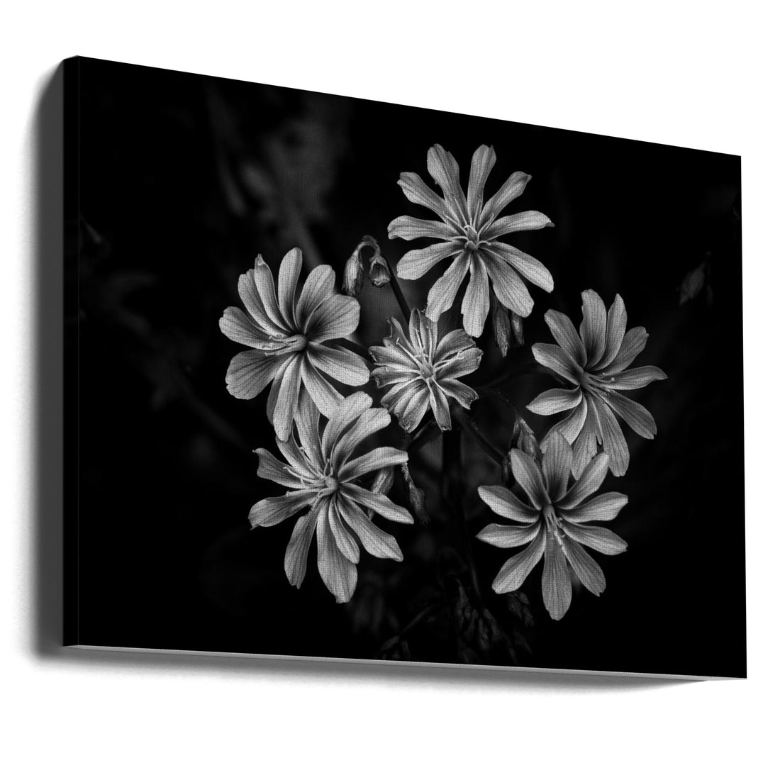 Wild Flowers by Fred Louwen | Botanical Nature Closeup, Large Canvas Wall Art Print | Artsy Earth