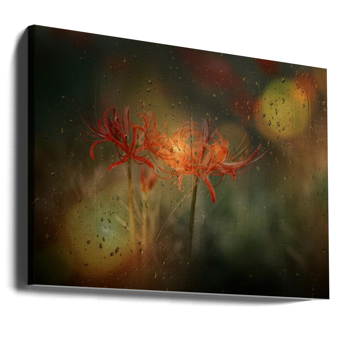 Autumn and Rain by Youngil Kim | Floral Water Droplets, Large Canvas Wall Art Print | Artsy Earth