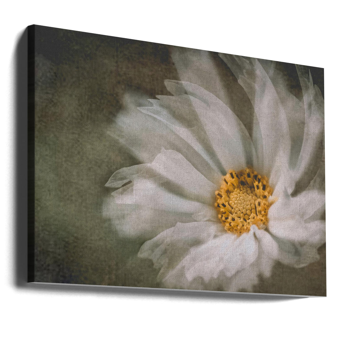 Dancing Flowers by Wei Xu | Floral Botanical Macro, Large Canvas Wall Art Print | Artsy Earth