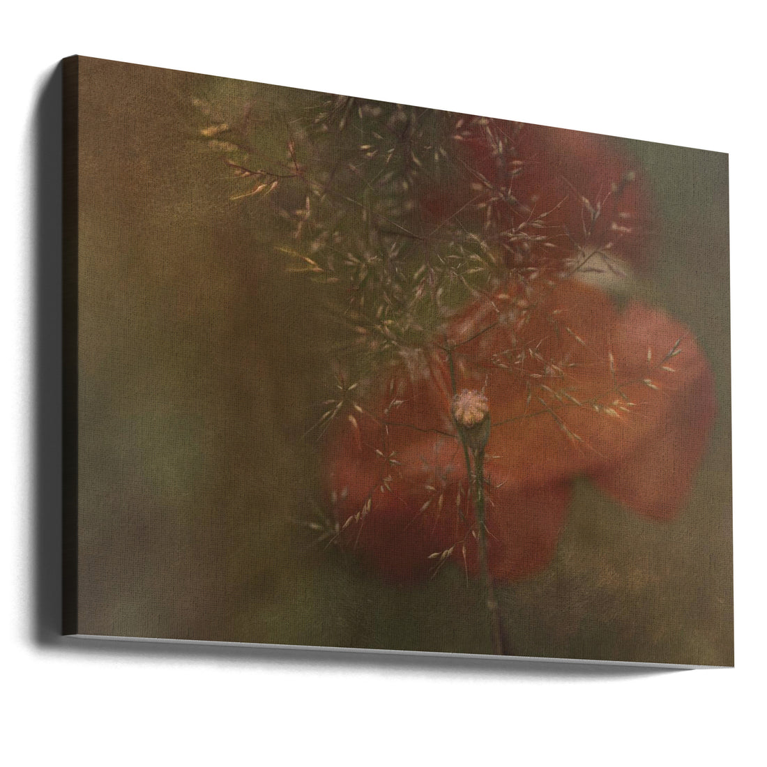 Hidden Poppy by Marie-anne Stas | Abstract Floral Botanical, Large Canvas Wall Art Print | Artsy Earth