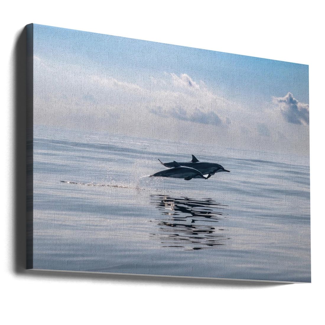 Ocean Wildlife by Serge Melesan | Marine Animals Swimming, Large Canvas Wall Art Print | Artsy Earth