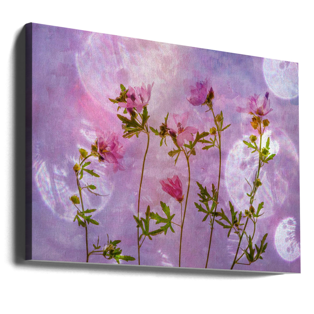 Pink Flora Macro by Hilda Van Der Lee | Pink Floral Botanical, Large Canvas Wall Art Print | Artsy Earth