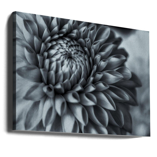 The Beauty of Darkness by Satoshi Hatsumori | Monochrome Botanical Close-up, Large Canvas Wall Art Print | Artsy Earth