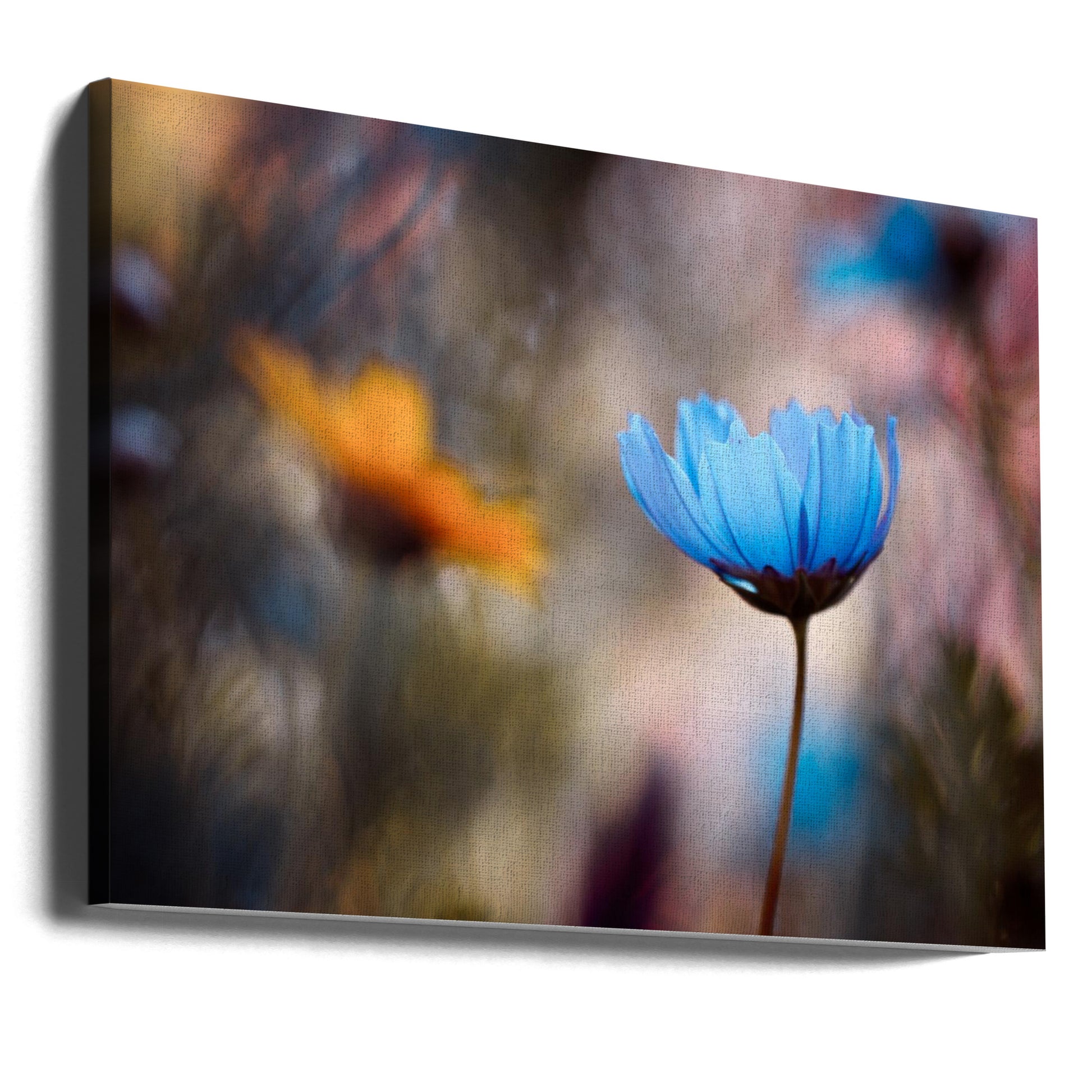 Do you wanna dance with me by Fabien Bravin | Floral Garden Macro, Large Canvas Wall Art Print | Artsy Earth