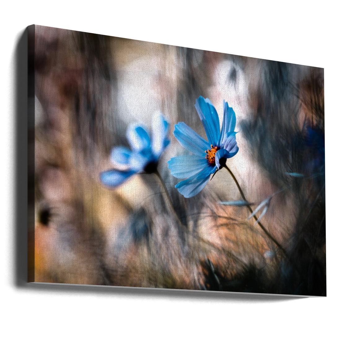 The Two of Us by Fabien Bravin | Floral Macro Duo, Large Canvas Wall Art Print | Artsy Earth