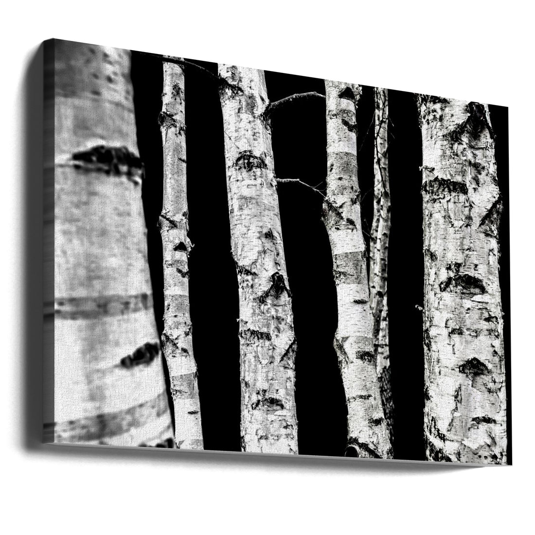 Birch Trees by Mareike Böhmer | Nordic Forest Landscape, Large Canvas Wall Art Print | Artsy Earth