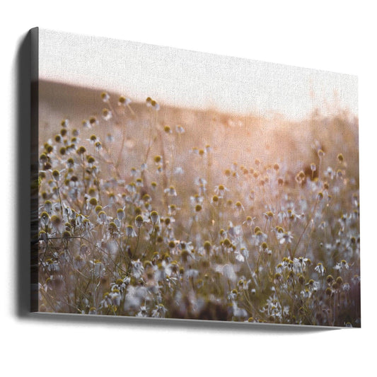 Summer Morning by Mareike Böhmer | Floral Nature Sunrise, Large Canvas Wall Art Print | Artsy Earth