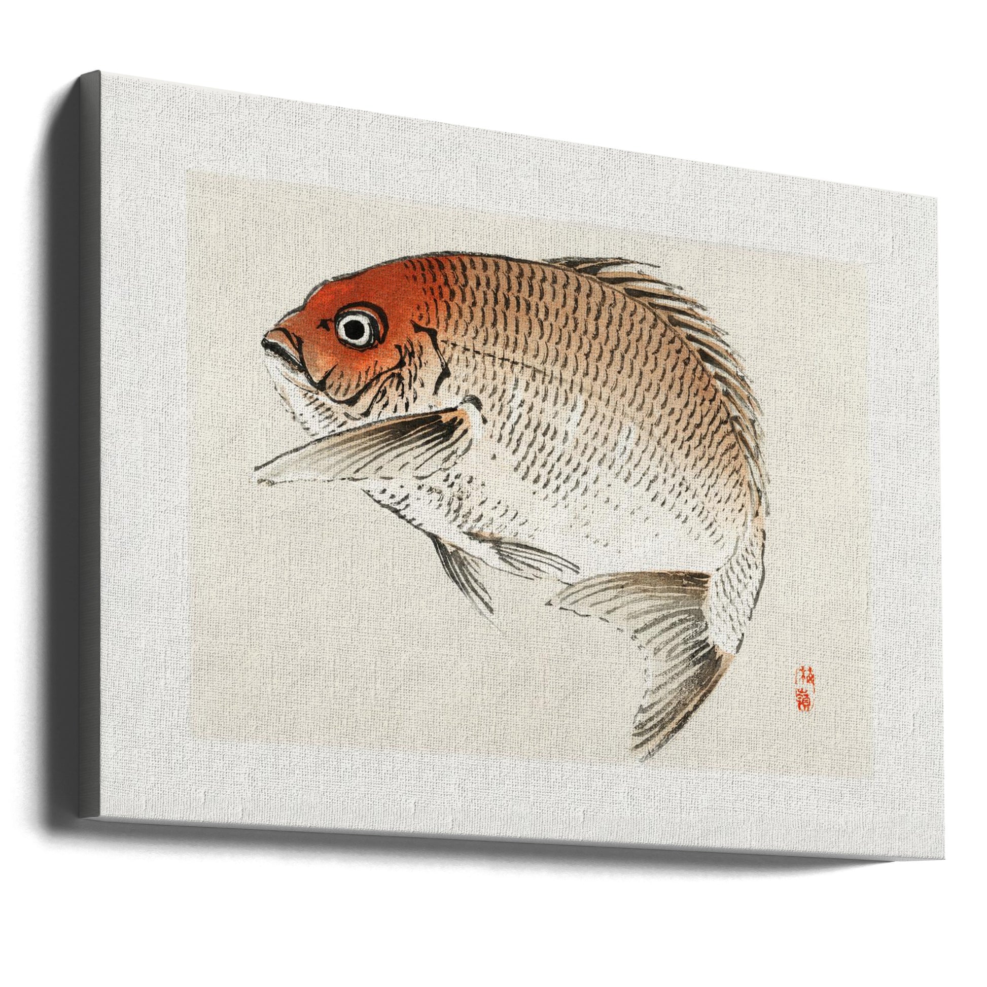 Red Seabream Fish by Kono Bairei | Vintage Japanese Sealife, Large Canvas Wall Art Print | Artsy Earth