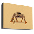 Lydia the Leggiest Cowgirl Spider by Anyone Can Yeehaw | Western Wildlife Illustration, Large Canvas Wall Art Print | Artsy Earth