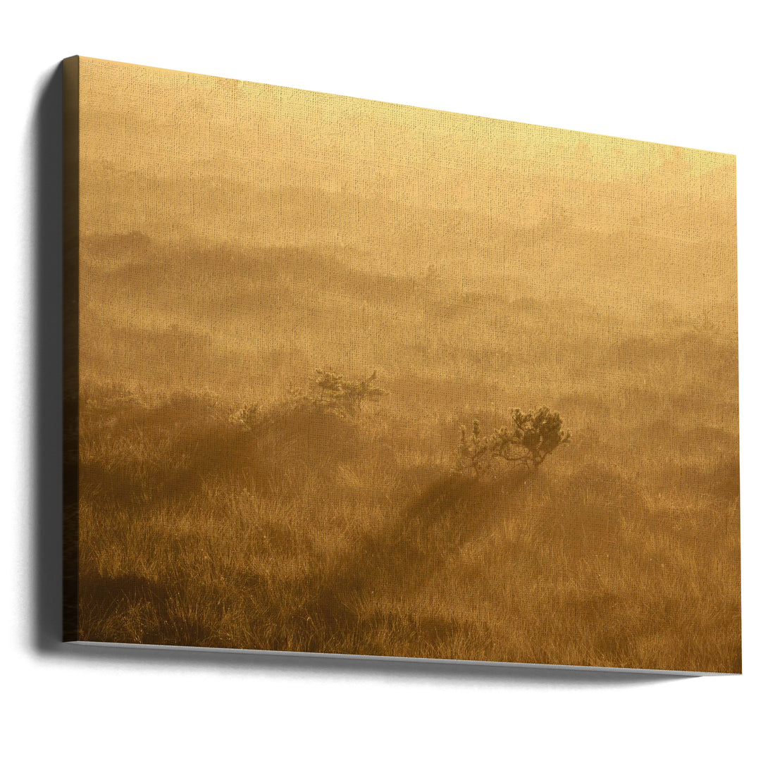 Countryside Dawn by Hamed Bank | Morning Meadow Landscape, Large Canvas Wall Art Print | Artsy Earth