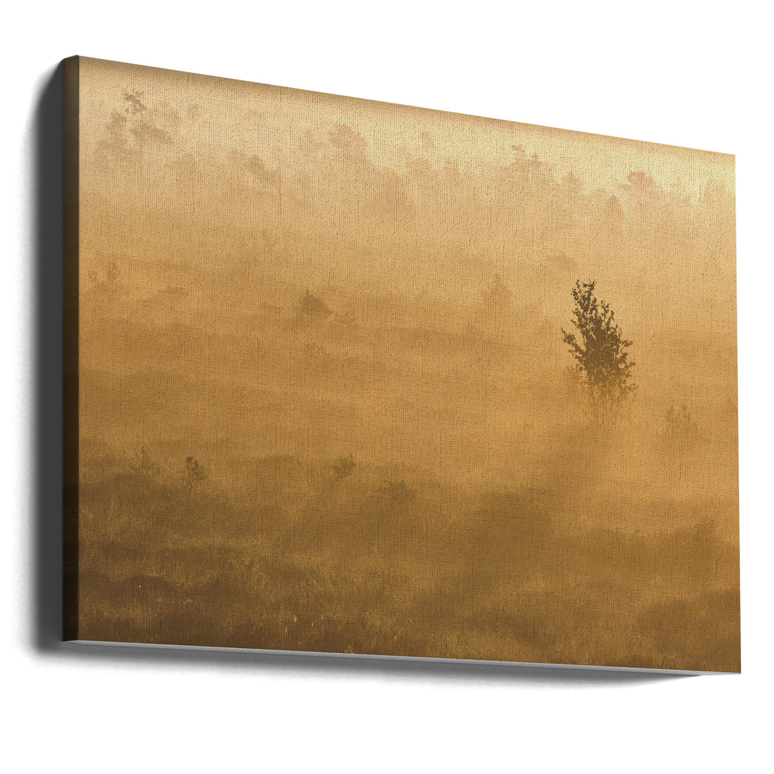 Misty Morning Ray by Hamed Bank | Foggy Countryside Sunrise, Large Canvas Wall Art Print | Artsy Earth