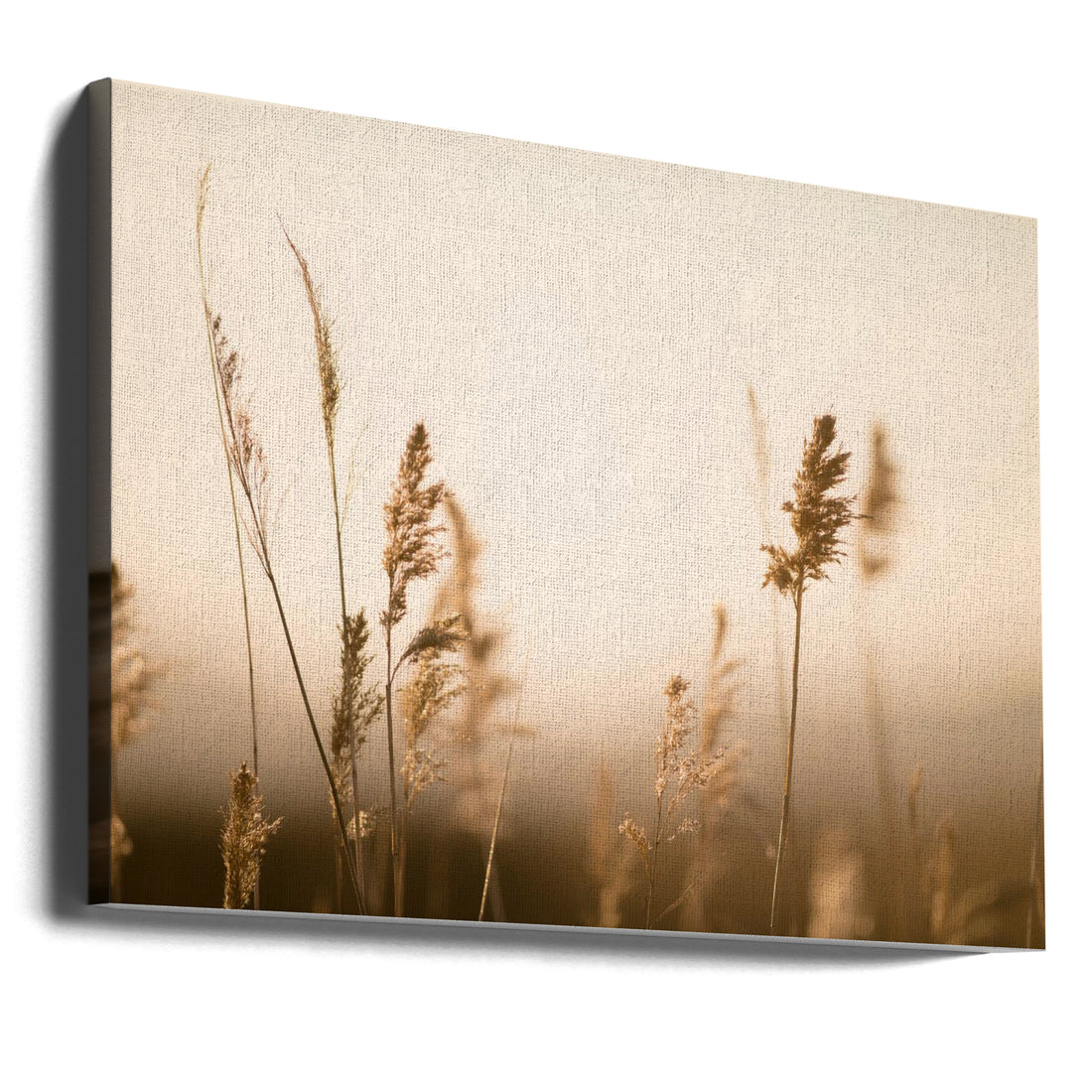 Marsh Grass No.2 by Crystal Lynn Collins | Peaceful Rural Landscape, Large Canvas Wall Art Print | Artsy Earth