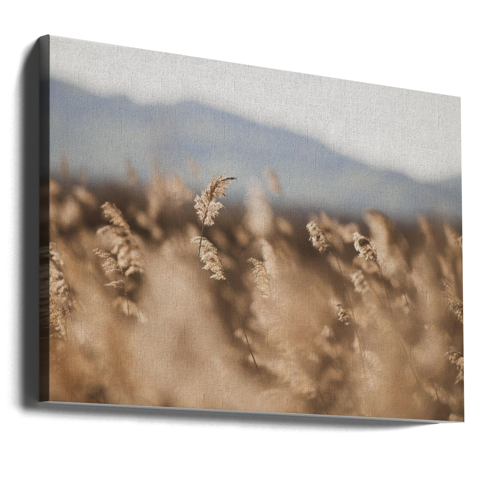 Marsh Grass No.11 by Crystal Lynn Collins | Dried Pampas Botanical, Large Canvas Wall Art Print | Artsy Earth