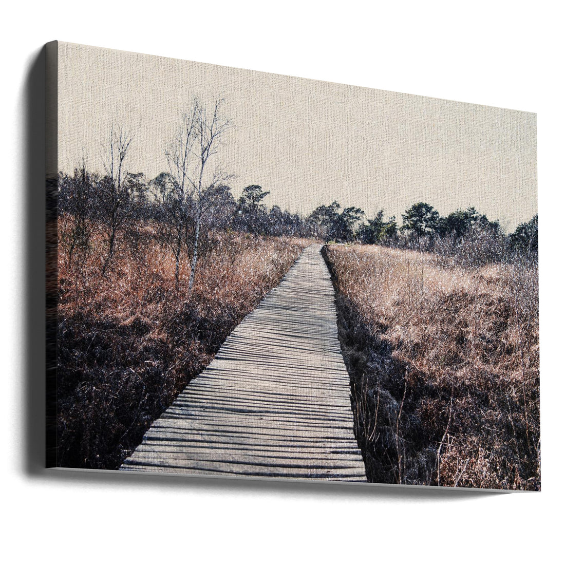 Nature Reserve by Imaginative | Dreamy Winter Landscape, Large Canvas Wall Art Print | Artsy Earth