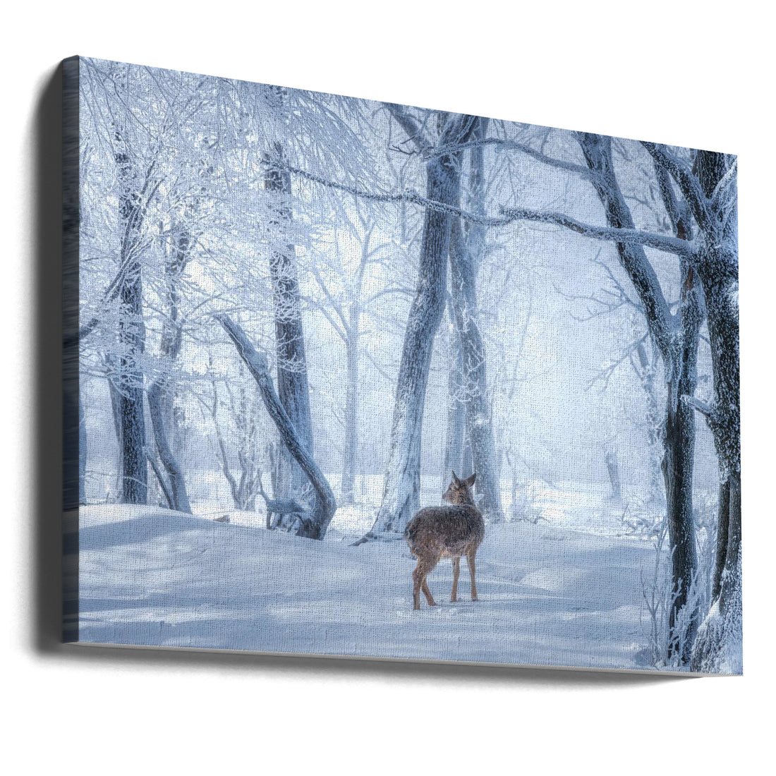 The Sika Deer in the Snowy Forest by Yuan Cui | Winter Wildlife Nature, Large Canvas Wall Art Print | Artsy Earth