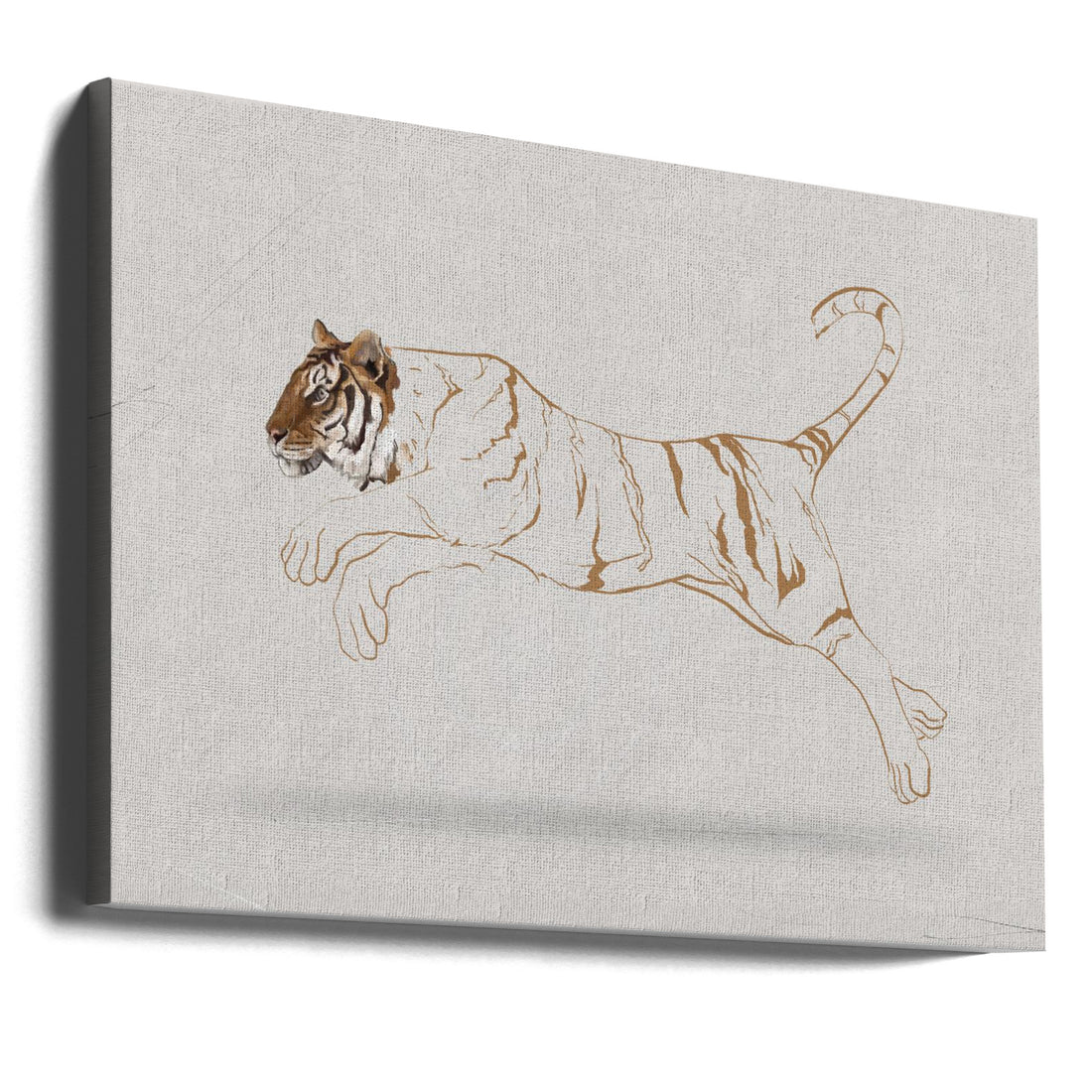 Friday Morning Lines by Gabriella Roberg | Tiger Animal Illustration, Large Canvas Wall Art Print | Artsy Earth