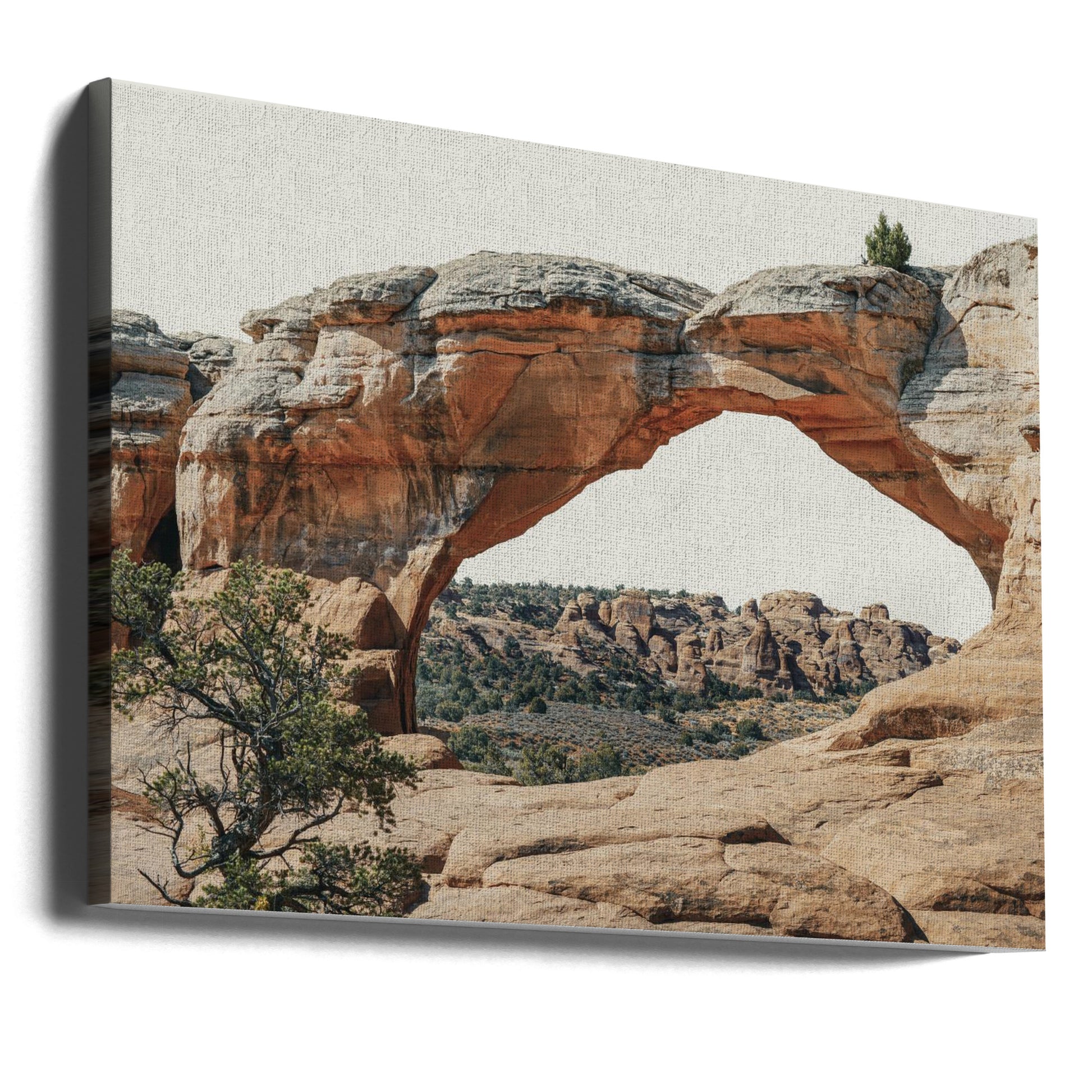 View to the West by Courtney Crane | Natural Arch Landscape, Large Canvas Wall Art Print | Artsy Earth