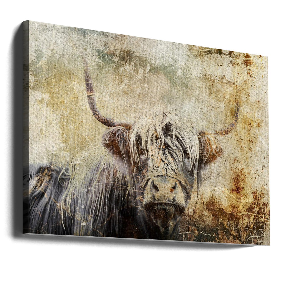 Highland Cow Art by Rafal Kulik | Pastoral Farm Animal, Large Canvas Wall Art Print | Artsy Earth