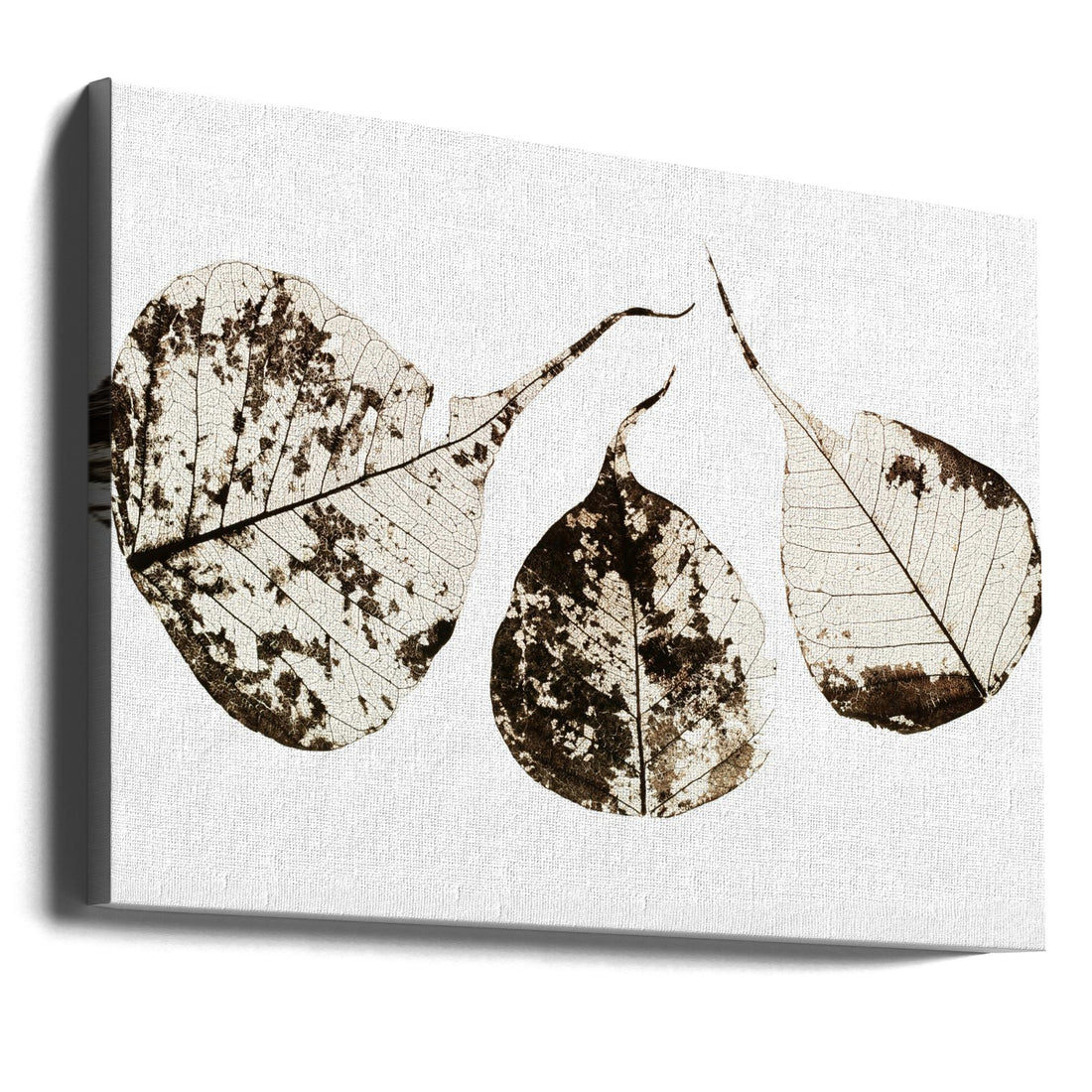 Fallen Leaves by Tal Paz-fridman | Botanical Nature Print, Large Canvas Wall Art Print | Artsy Earth