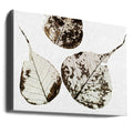 Fallen Leaves by Tal Paz-fridman | Botanical Wall Art, Large Canvas Wall Art Print | Artsy Earth