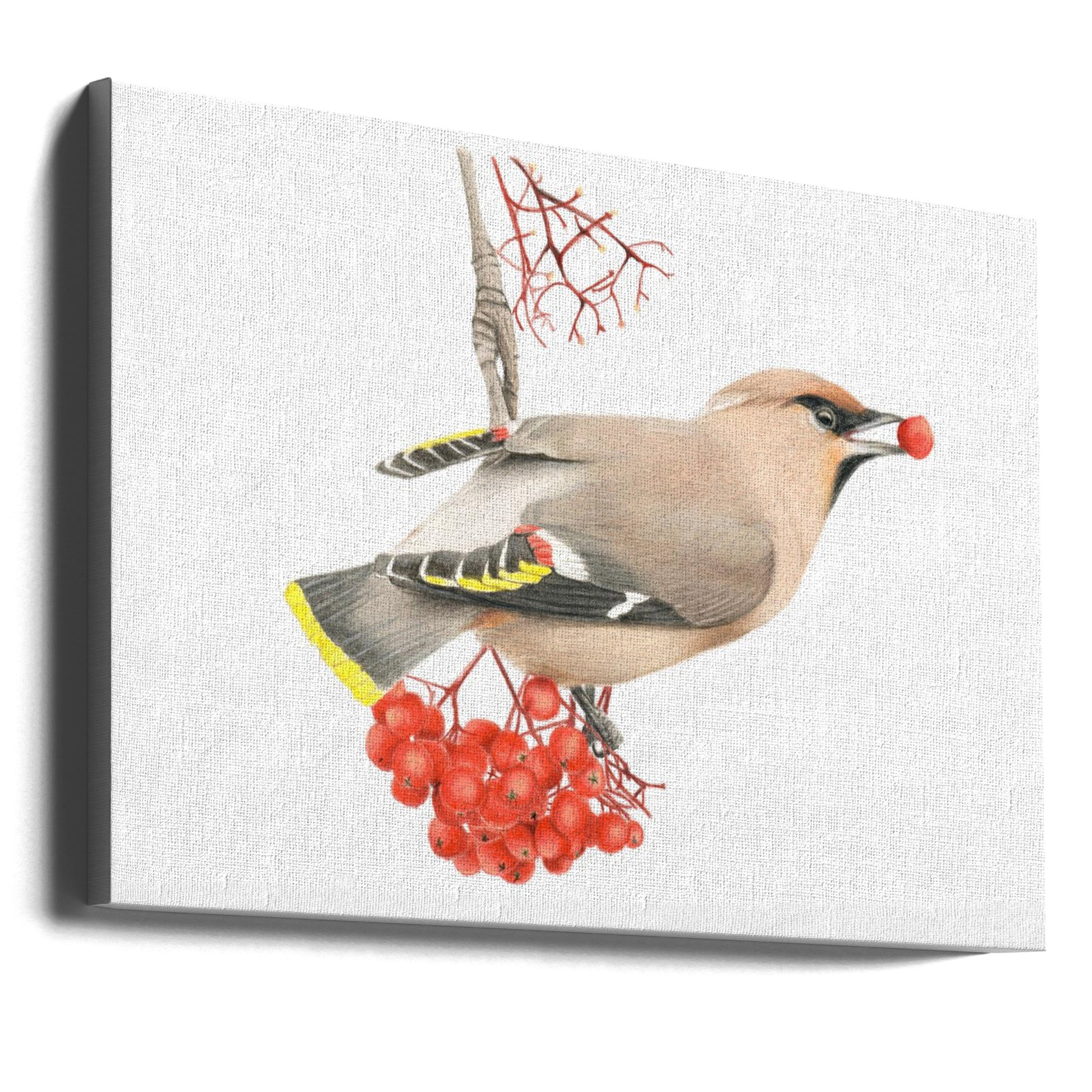 Cedar Waxwing Bird by Angelica Diehn | Wildlife Bird Portrait, Large Canvas Wall Art Print | Artsy Earth