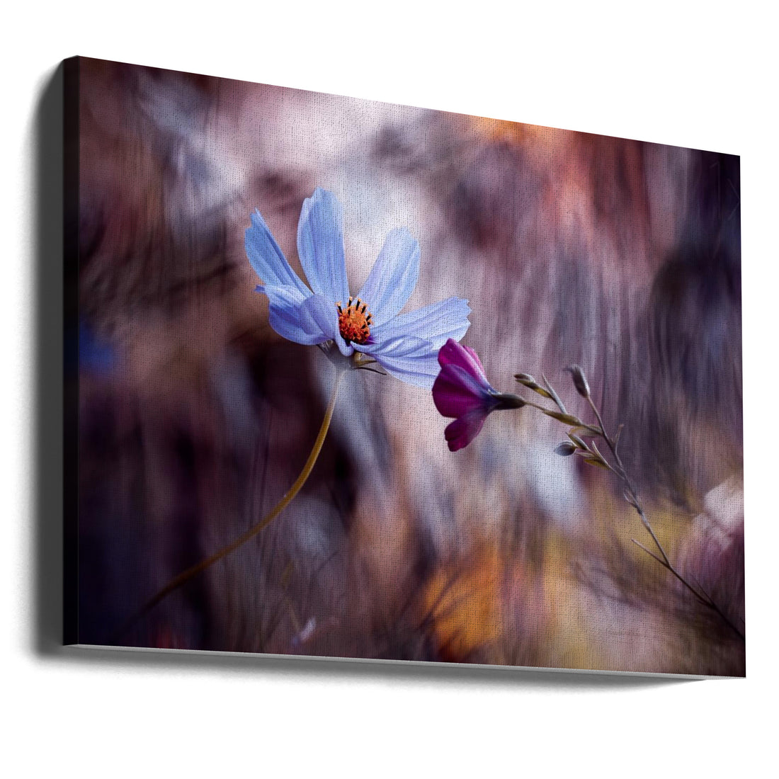 Romantic Flora by Fabien Bravin | Floral Romance Macro, Large Canvas Wall Art Print | Artsy Earth