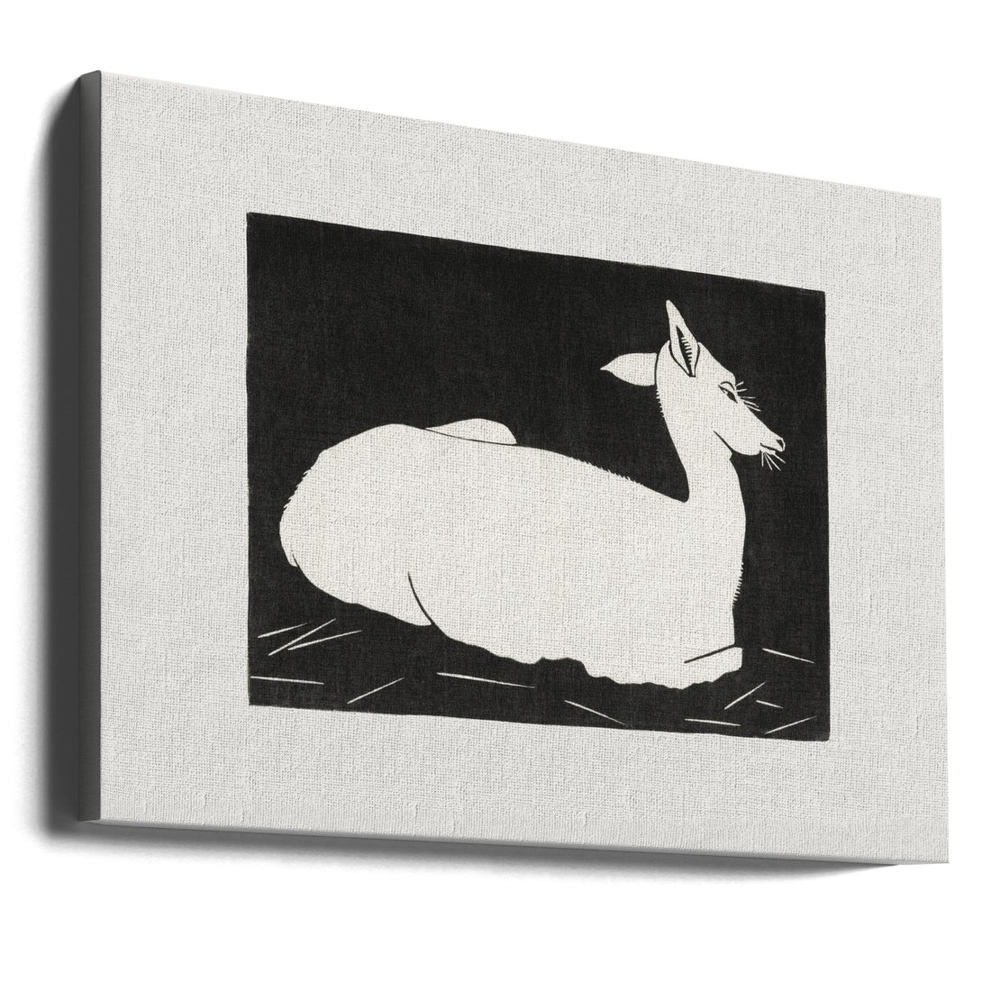 Animal Sketch Art by Samuel Jessurun | Black White Animal Illustration, Large Canvas Wall Art Print | Artsy Earth