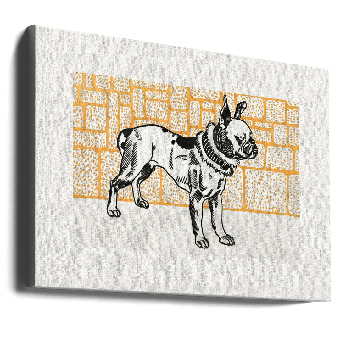 Pitbull Terrier by Moriz Jung | Dog Sketch Art, Large Canvas Wall Art Print | Artsy Earth