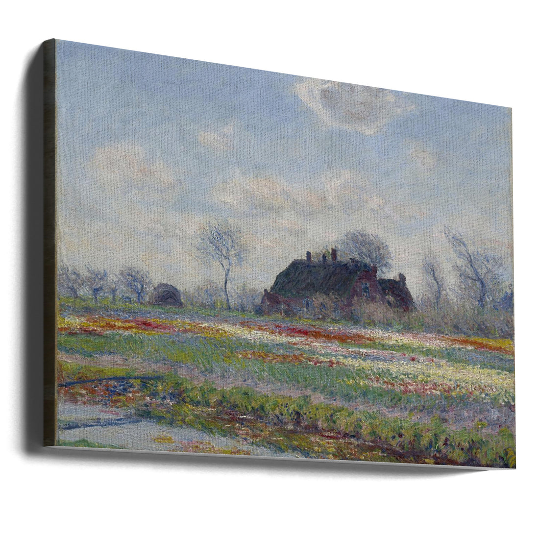 Tulip Fields Sassenheim by Claude Monet | Floral Landscape Painting, Large Canvas Wall Art Print | Artsy Earth