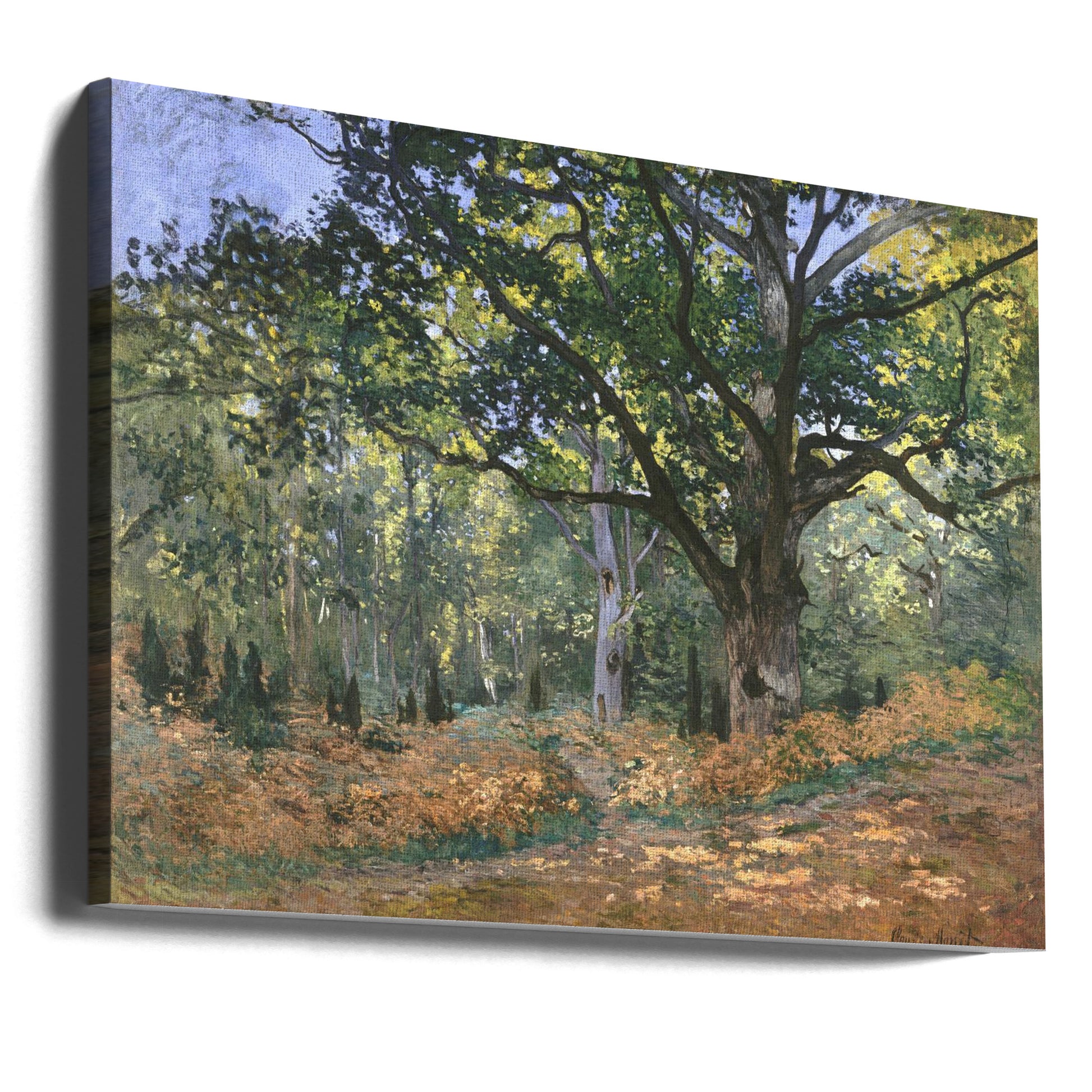 The Bodmer Oak by Claude Monet | Autumn Forest Landscape, Large Canvas Wall Art Print | Artsy Earth