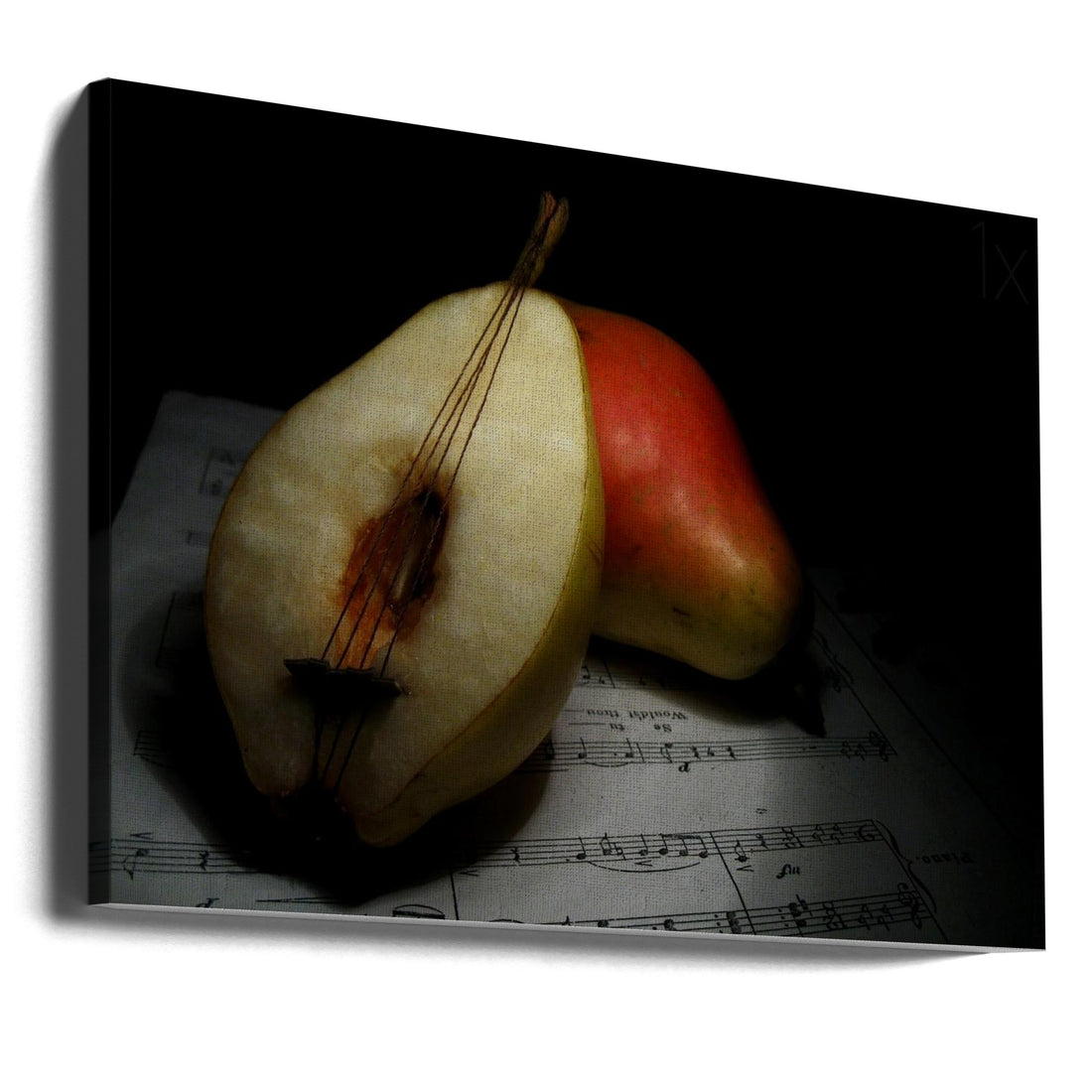 Still Life by Emine Basa | Musical Still Life, Large Canvas Wall Art Print | Artsy Earth