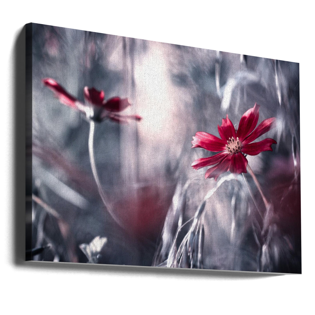 Seduction games by Fabien Bravin | Romantic Floral Macro, Large Canvas Wall Art Print | Artsy Earth