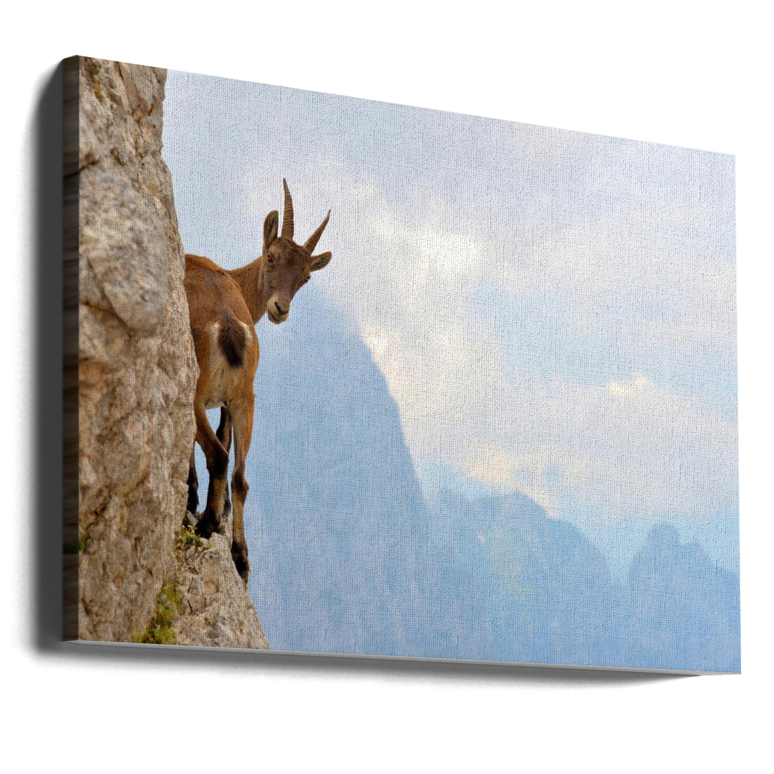 Mountain Balance by Stefano Zocca | Alpine Mountain Wildlife, Large Canvas Wall Art Print | Artsy Earth