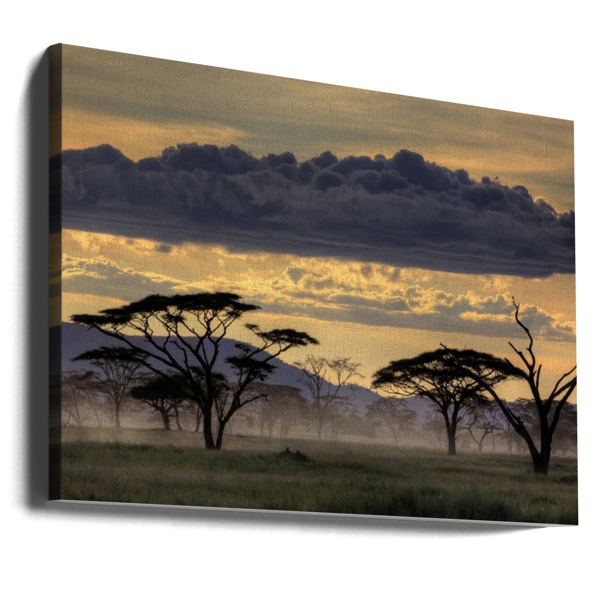 Good Evening Tanzania by Amnon Eichelberg | Misty African Sunset, Large Canvas Wall Art Print | Artsy Earth