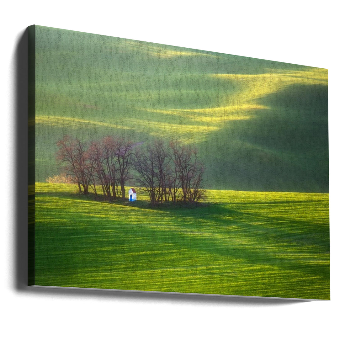 Tuscan Fields by Krzysztof Browko | Rural Cypress Landscape, Large Canvas Wall Art Print | Artsy Earth