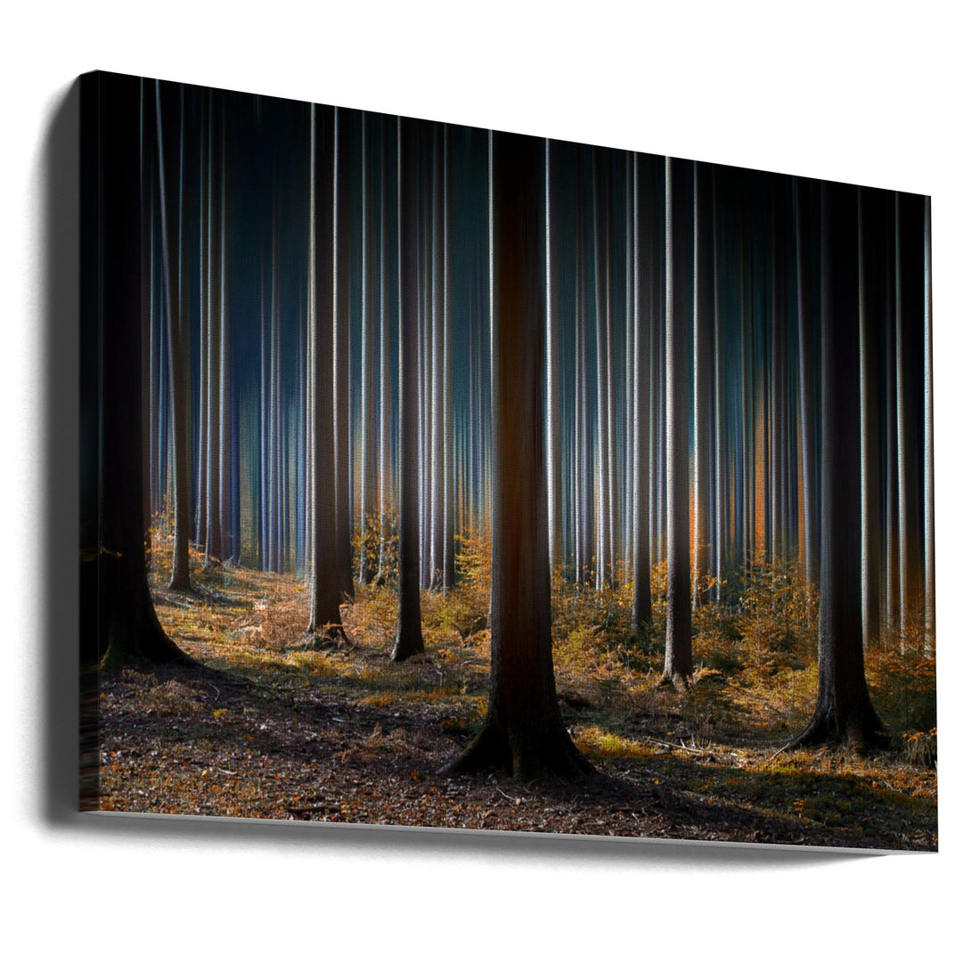 Mystic Wood by Carsten Meyerdierks | Forest Light Path, Large Canvas Wall Art Print | Artsy Earth