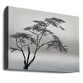 Misty Savannah Tree by Piet Flour | Foggy African Landscape, Large Canvas Wall Art Print | Artsy Earth