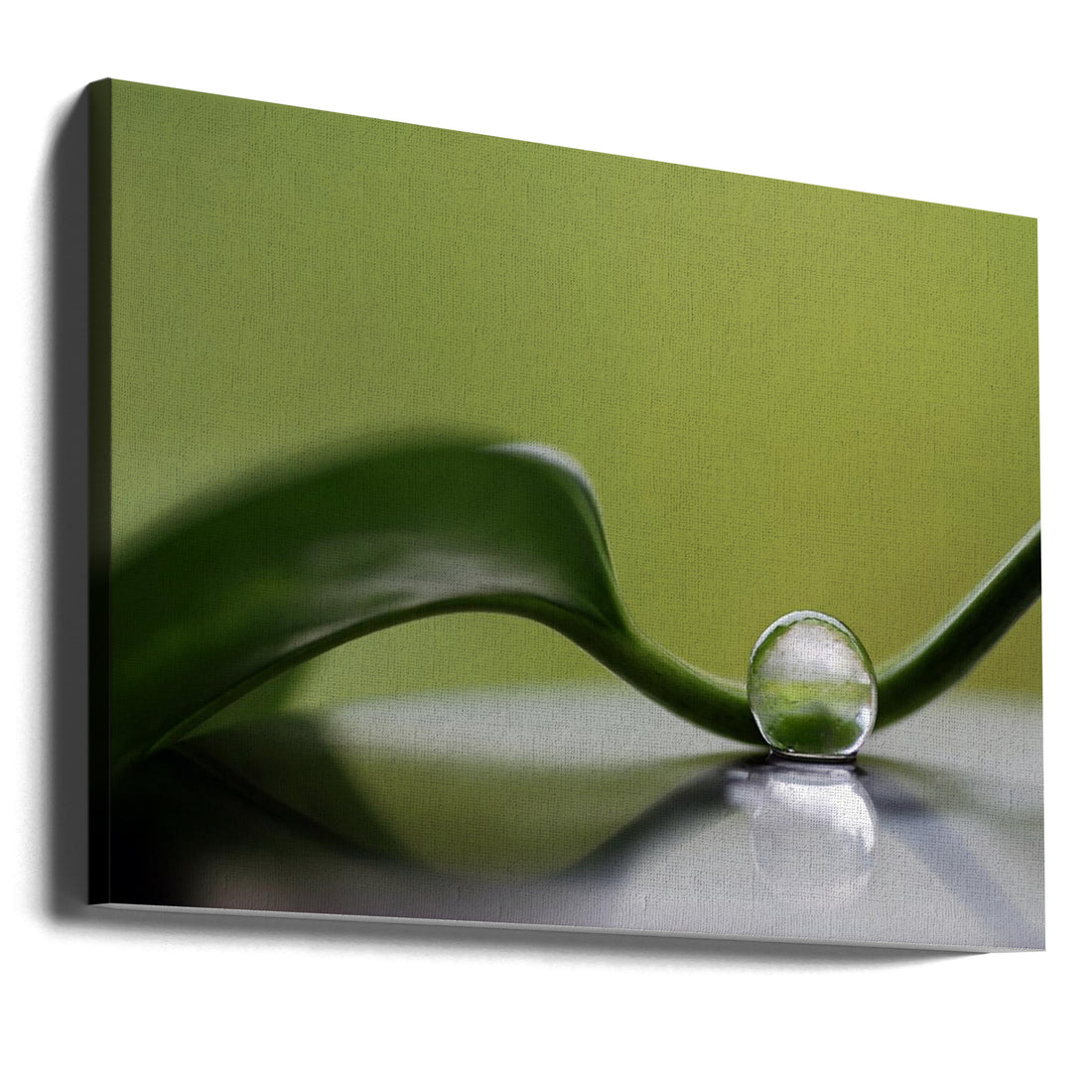 Green Harmony by Heidi Westum | Botanical Zen Tranquility, Large Canvas Wall Art Print | Artsy Earth