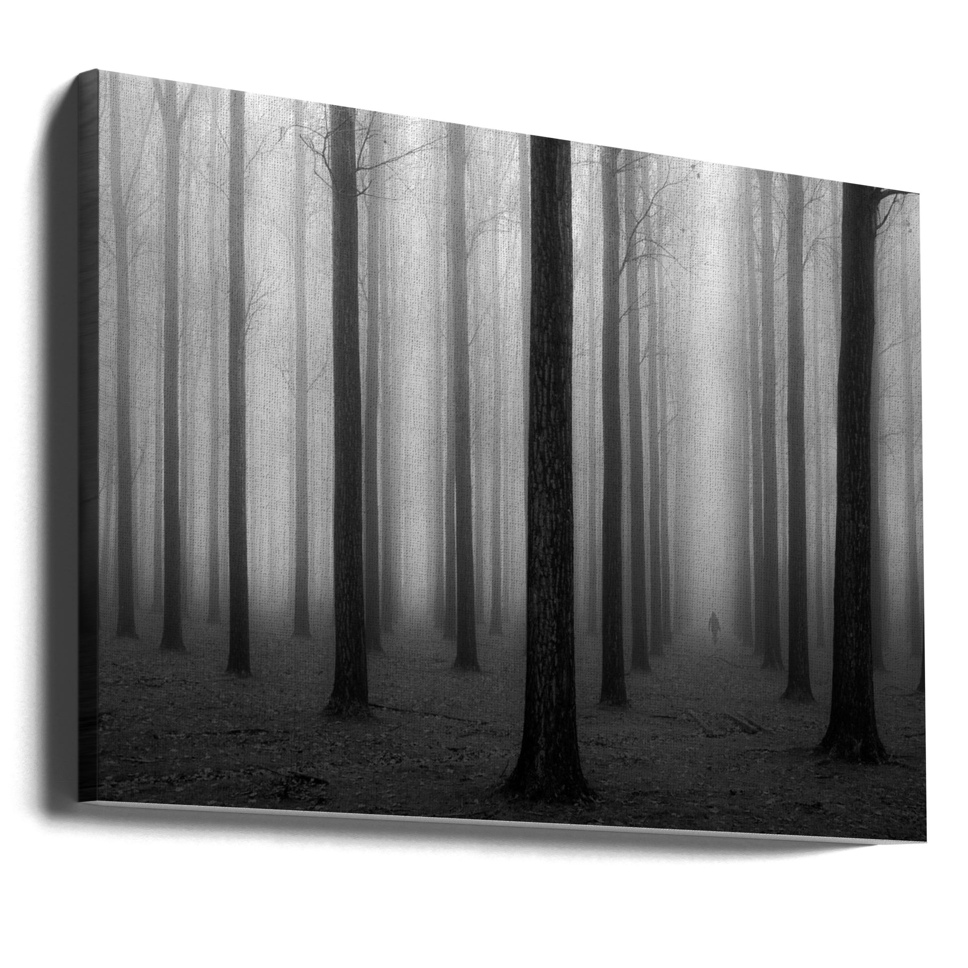 In a Fog by Jochen Bongaerts | Foggy Forest Path, Large Canvas Wall Art Print | Artsy Earth