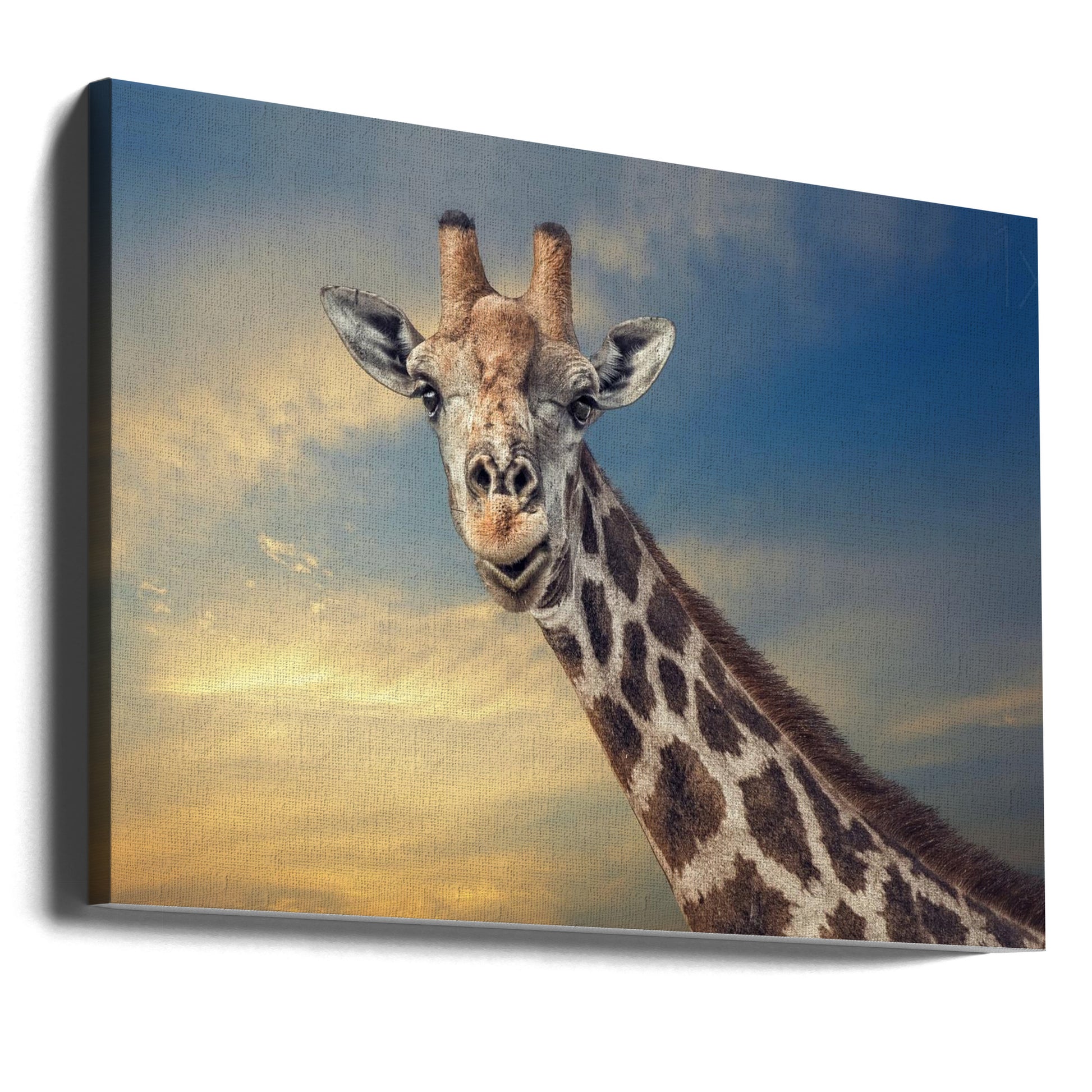 The Friendly Giant by Piet Flour | Giraffe Wildlife Portrait, Large Canvas Wall Art Print | Artsy Earth