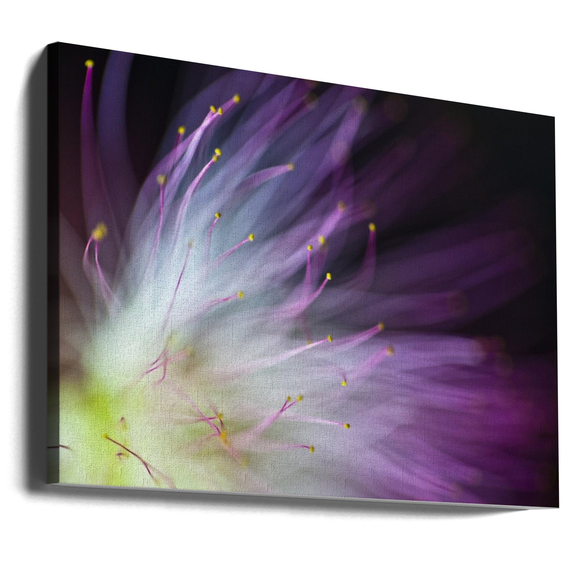 Will-o-the-Wisp by Art Lionse | Purple Floral Macro, Large Canvas Wall Art Print | Artsy Earth