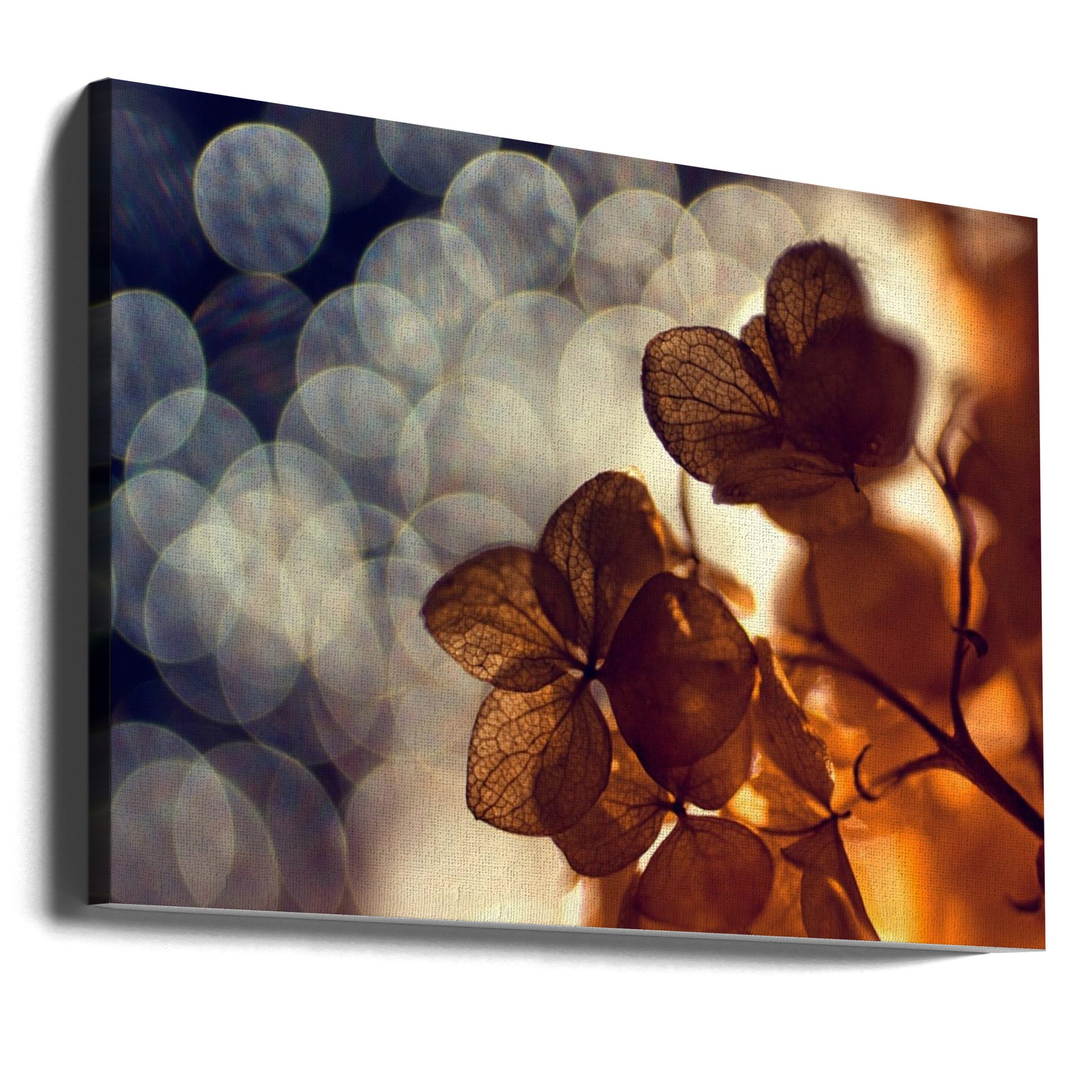 Golden Flora by Dimitar Lazarov - Dim | Bokeh Botanical Abstract, Large Canvas Wall Art Print | Artsy Earth