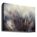 Delicate Droplets by Thomas Dam | Macro Water Drops, Large Canvas Wall Art Print | Artsy Earth